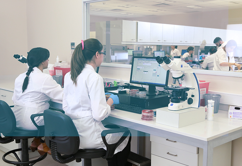 Laboratorio HMG